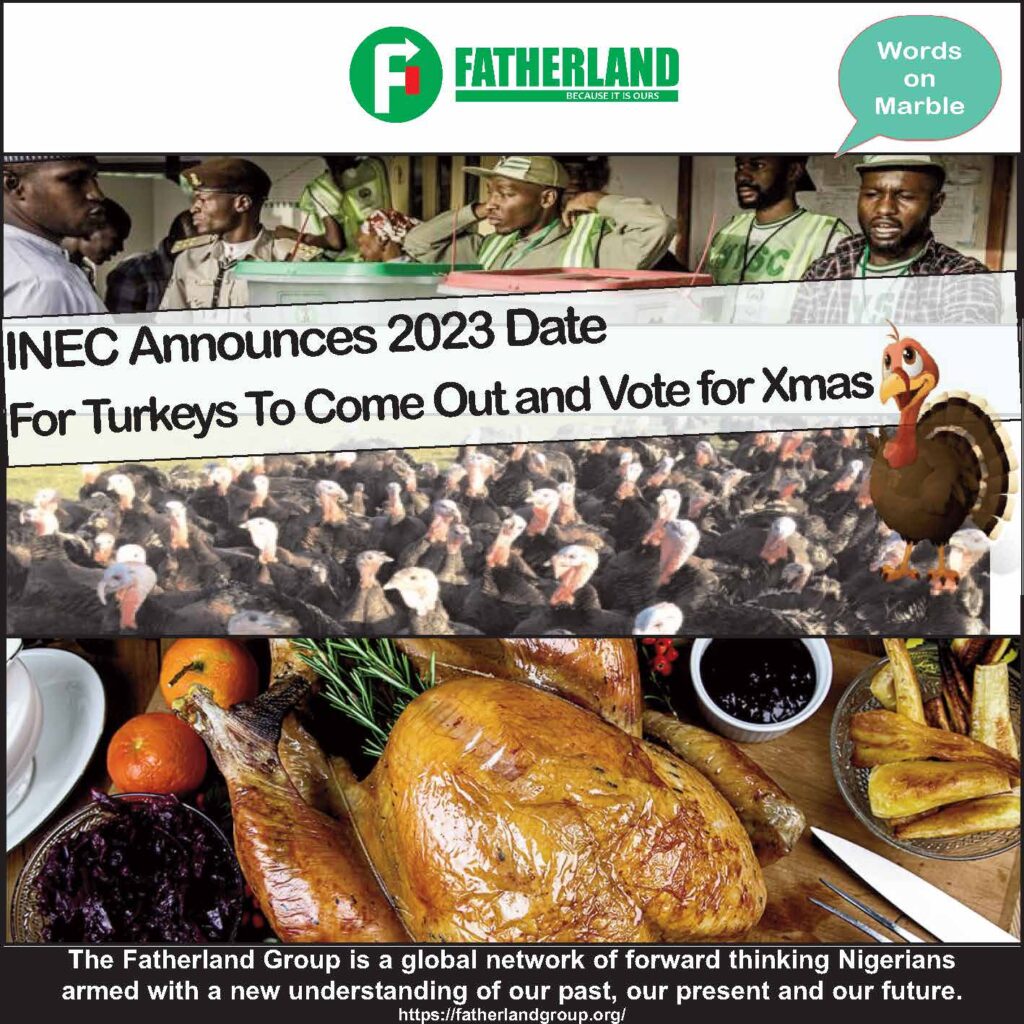 Words on Marble - INEC Announces 2023 Date For Turkeys To Vote for Xmas - Square_NEW